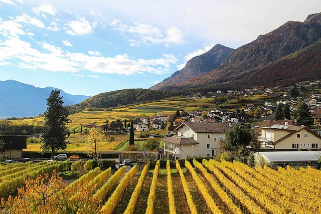 Herbst